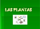 Las plantas | Recurso educativo 34256