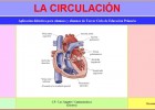 La circulación | Recurso educativo 34784