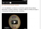 Video: Mitosis y meiosis | Recurso educativo 39764