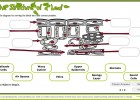 The structure of a leaf | Recurso educativo 41184