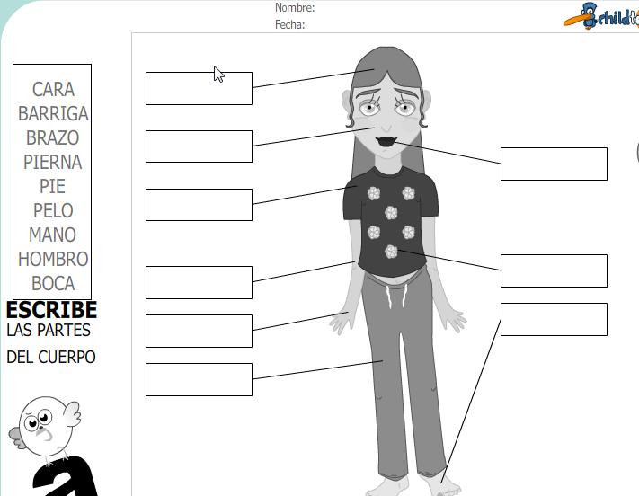 Fichas: partes del cuerpo | Recurso educativo 44171