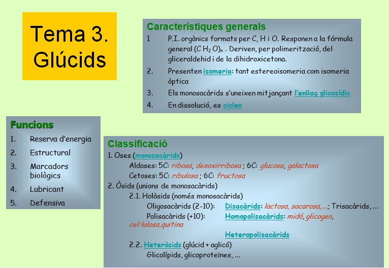 Els glúcids | Recurso educativo 46351