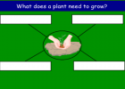 Plant needs | Recurso educativo 46399