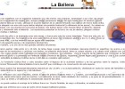 La Ballena | Recurso educativo 46436