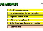 Los animales | Recurso educativo 46655