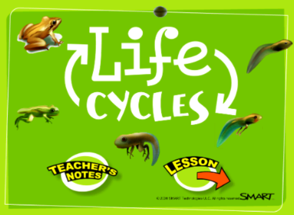 Life cycles | Recurso educativo 47460