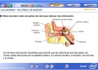 Los sentidos - Los oídos y la audición | Recurso educativo 48969