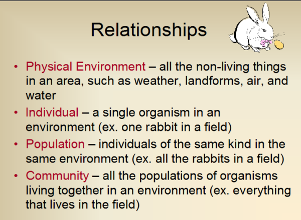 Ecosystems | Recurso educativo 49136