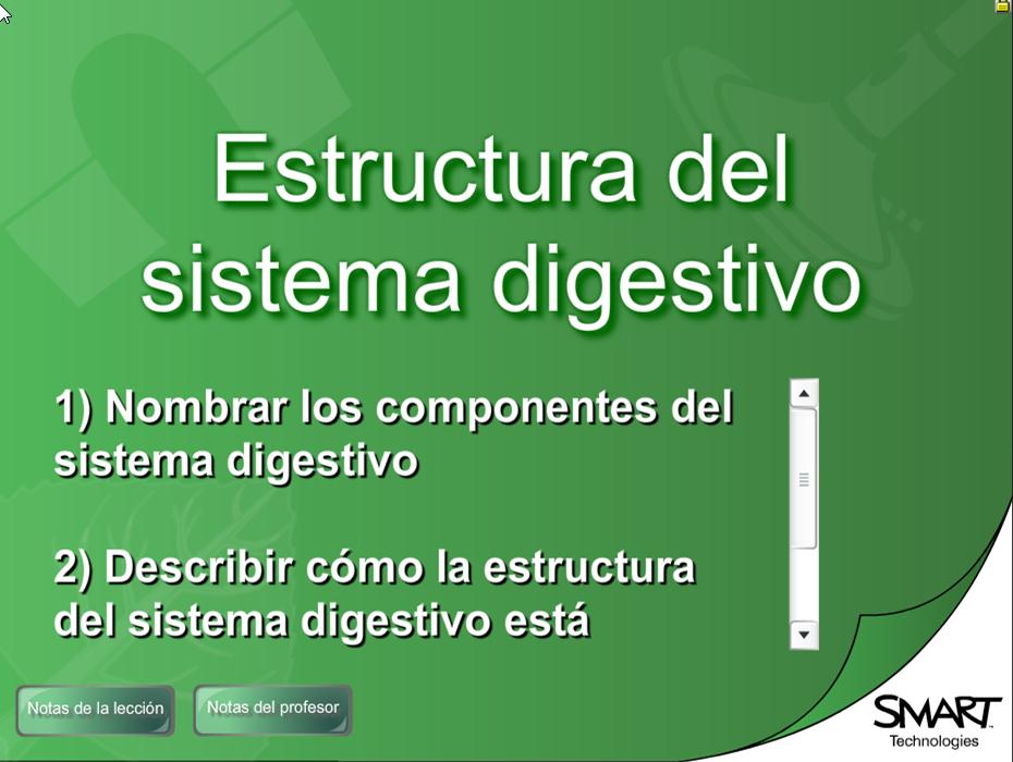 Estructura del sistema digestivo | Recurso educativo 49518