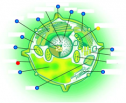 Plant cell quiz | Recurso educativo 60593