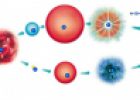 Star life cycle quiz | Recurso educativo 61493