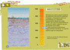 Interactivo: La evolución del suelo | Recurso educativo 10725