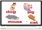 Video: What's your favourite animal? | Recurso educativo 11784