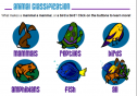 Animal classification | Recurso educativo 20974