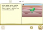 Life cycle of a sunflower | Recurso educativo 25491