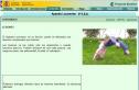 Las lesiones | Recurso educativo 28013