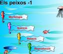 Els peixos | Recurso educativo 2981