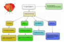 Las flores | Recurso educativo 31270