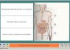 Els aliments i la digestió | Recurso educativo 4385