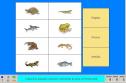 Els animals vertebrats II | Recurso educativo 4418