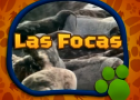 El Maravilloso Mundo de los Animales: Las Focas | Recurso educativo 70863