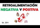 RETROALIMENTACION NEGATIVA Y POSITIVA - FISIOLOGIA | Recurso educativo 94206