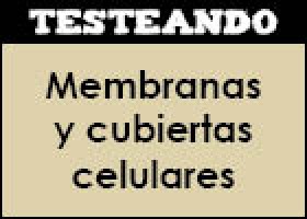 Las membranas y las cubiertas celulares | Recurso educativo 351941