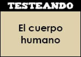 El cuerpo humano | Recurso educativo 352849