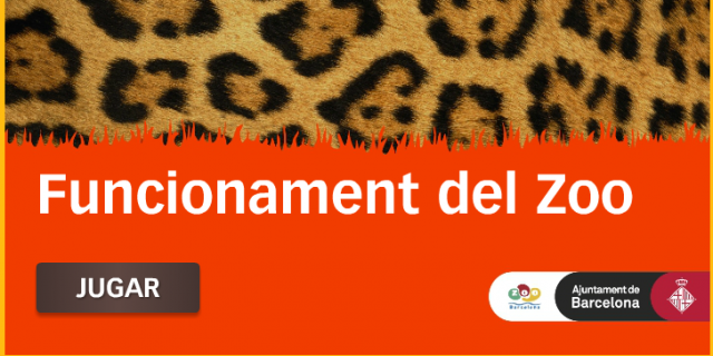 Funcionament del Zoo - Zoo de Barcelona - ESO | Recurso educativo 725937