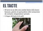 El sentit del tacte | Recurso educativo 730991