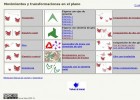 Moviments i translacions | Recurso educativo 775564