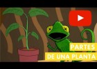 Partes de una planta | Recurso educativo 787469