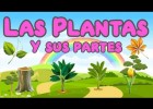 Las Plantas y sus partes | Recurso educativo 7903597